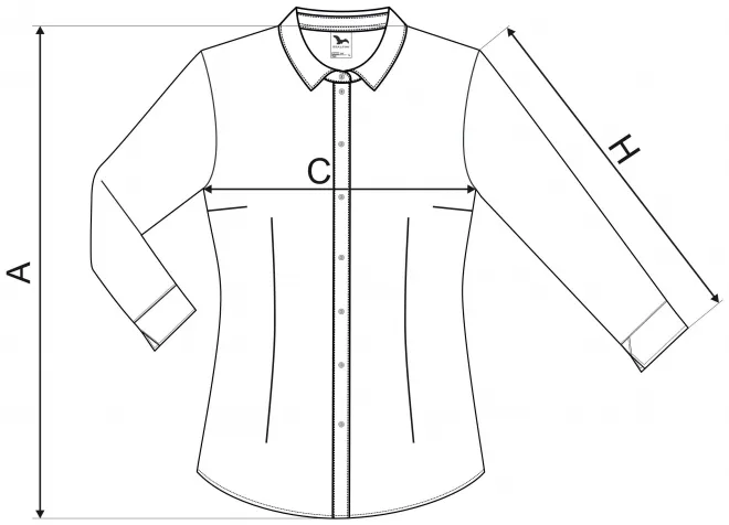 Bluză de damă cu mâneci lungi - tabel de dimensiuni